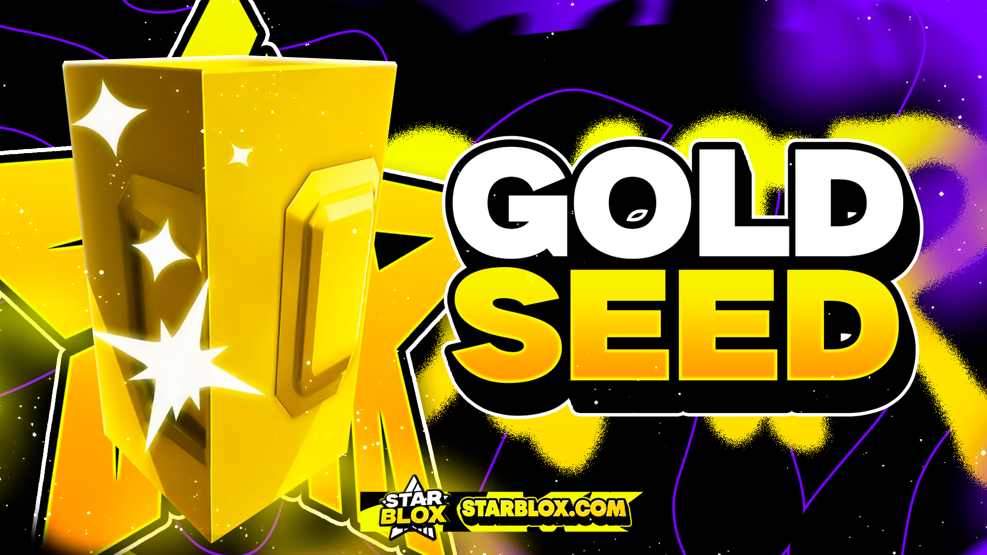 「🪙」GOLD SEED'S