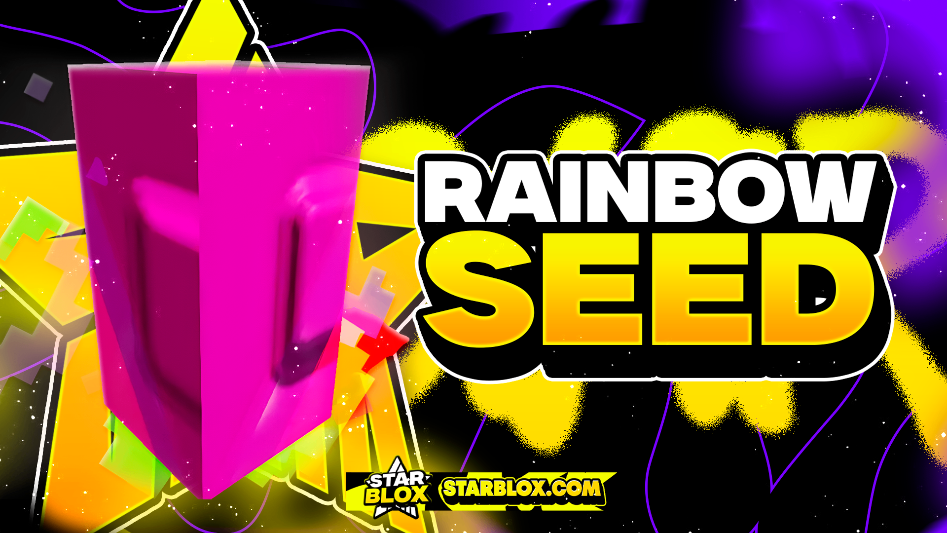 「🌈」RAINBOW SEED'S